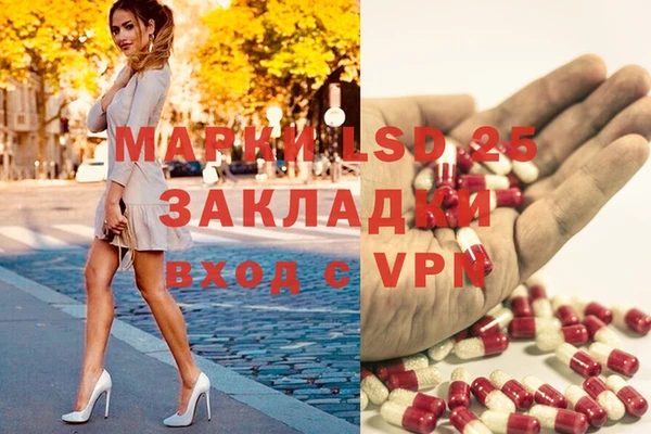 сатива Алзамай