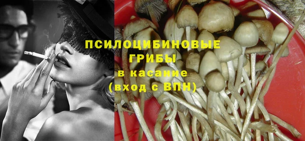 сатива Алзамай