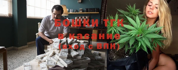 сатива Алзамай