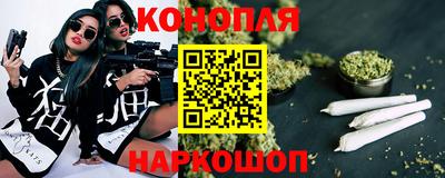 не бодяженный Гай