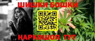не бодяженный Гай