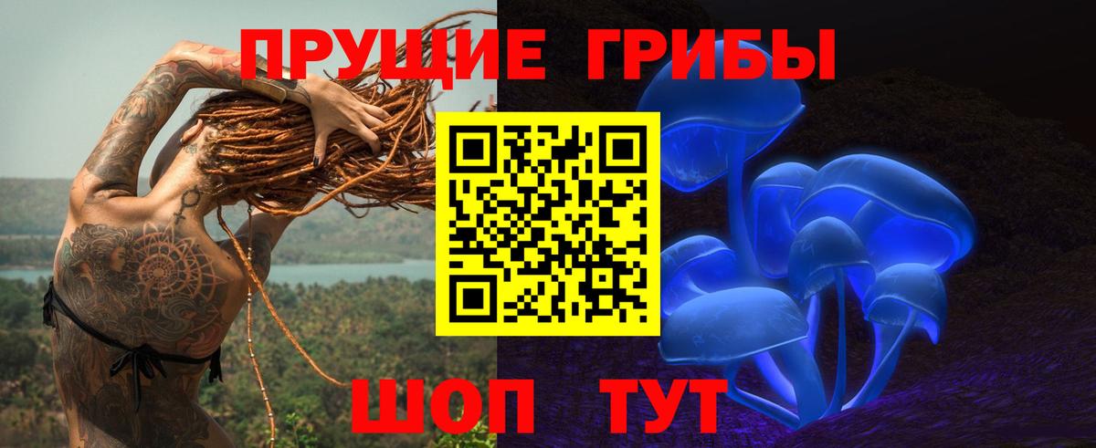 Галлюциногенные грибы прущие грибы Ленинск-Кузнецкий